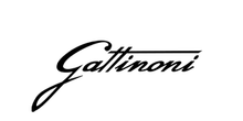 Gattinoni
