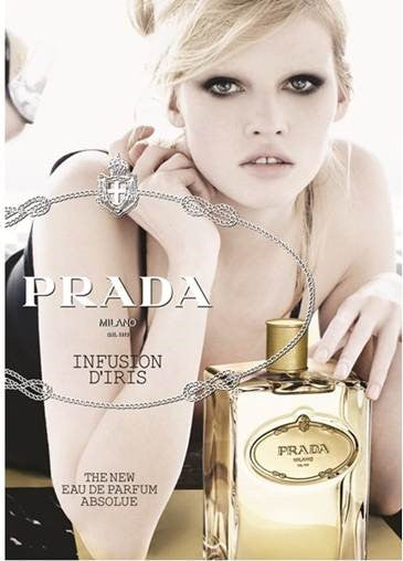 Infusion D'Iris Absolue