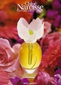 Narcisse Chloe