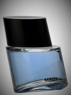 Sander for Men