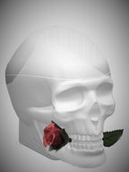 Skulls & Roses