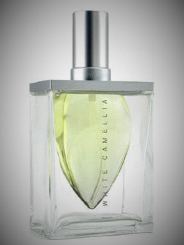 White Camellia St John